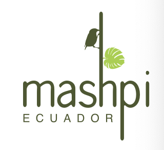 Mashpi Lodge - Especial Turismo Ecuador 2024 Revista CLAVE!